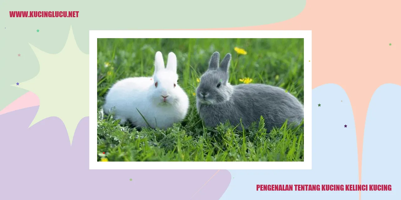 Kucing Kelinci Kucing