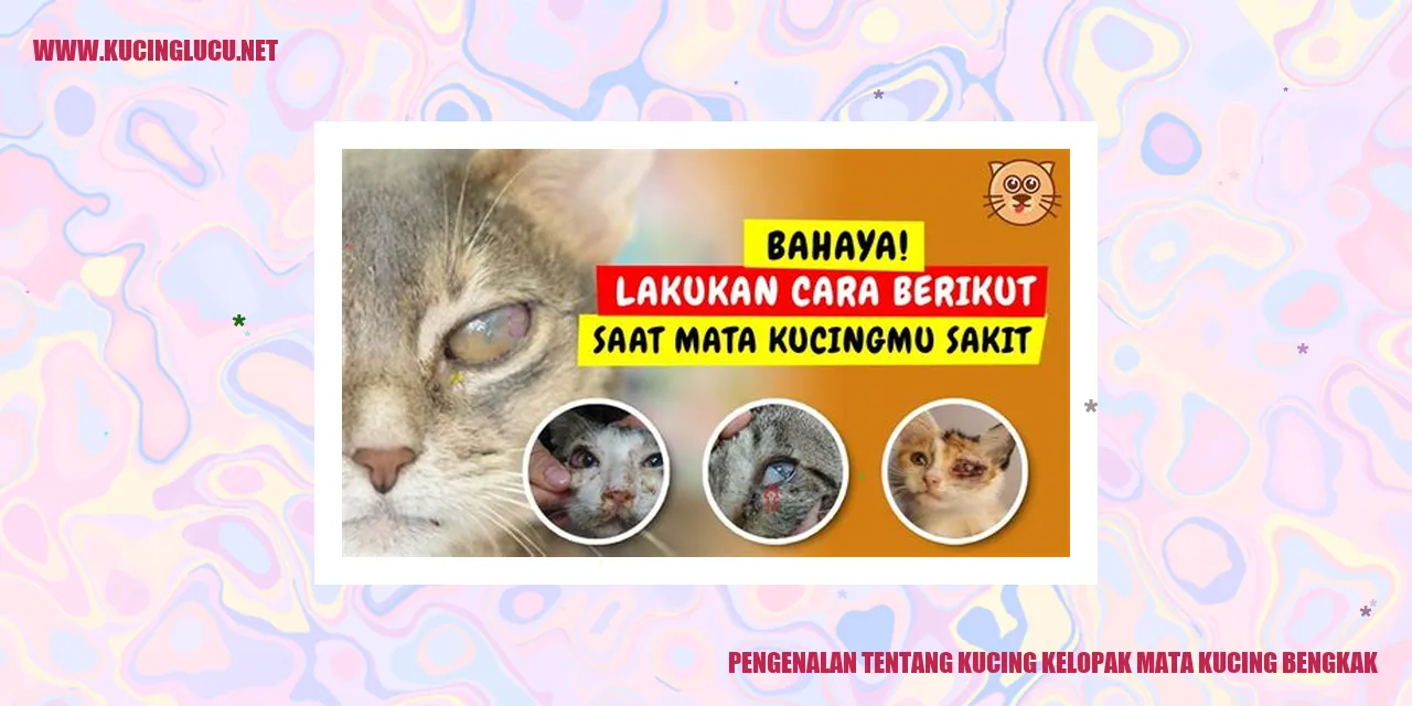 Kucing dengan mata bengkak