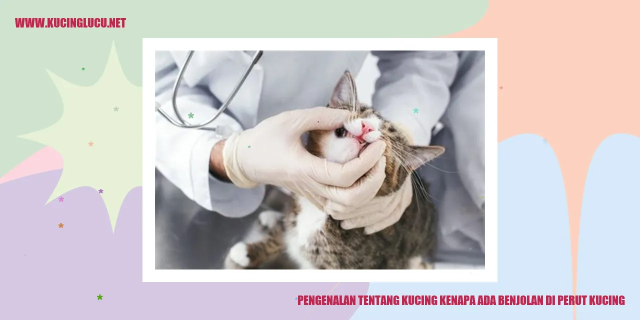 Gambar kucing