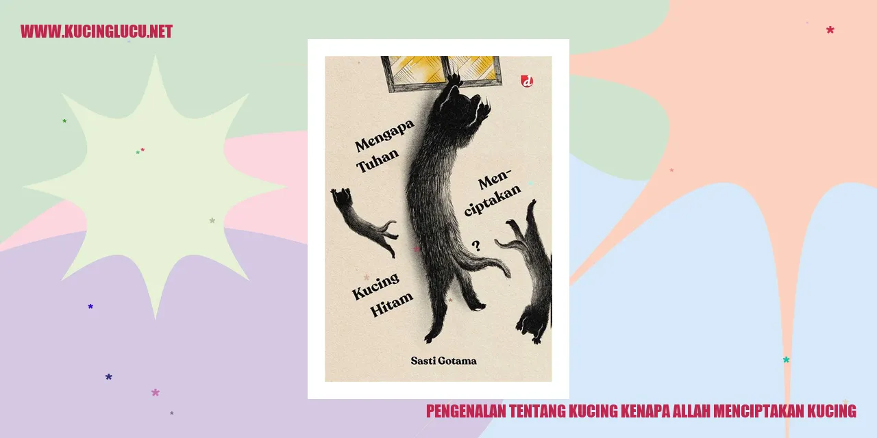 Kucing Lucu