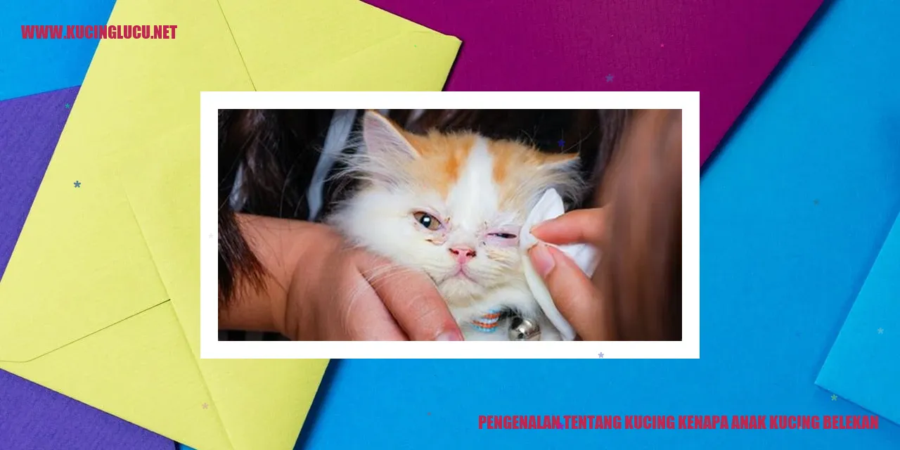 Ilustrasi Kucing