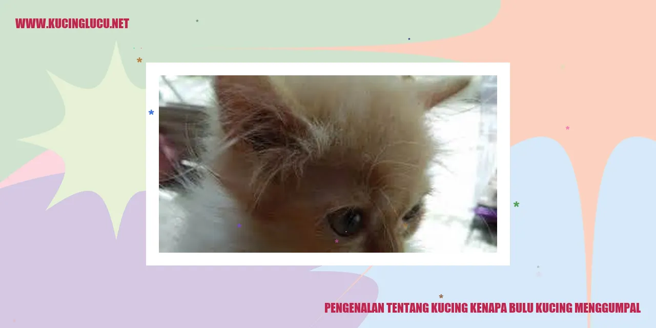 Gambar Bulu Kucing Menggumpal