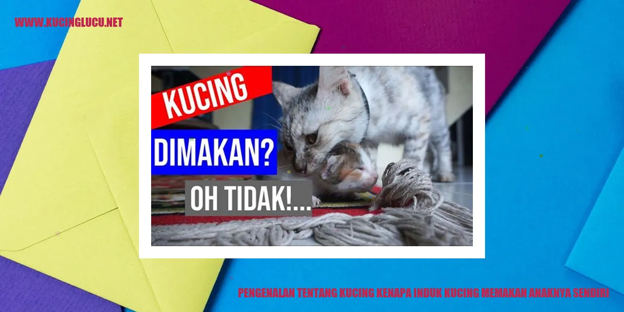 Gambar kucing dan anaknya