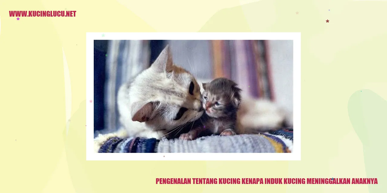 Gambar Kucing dengan Anaknya