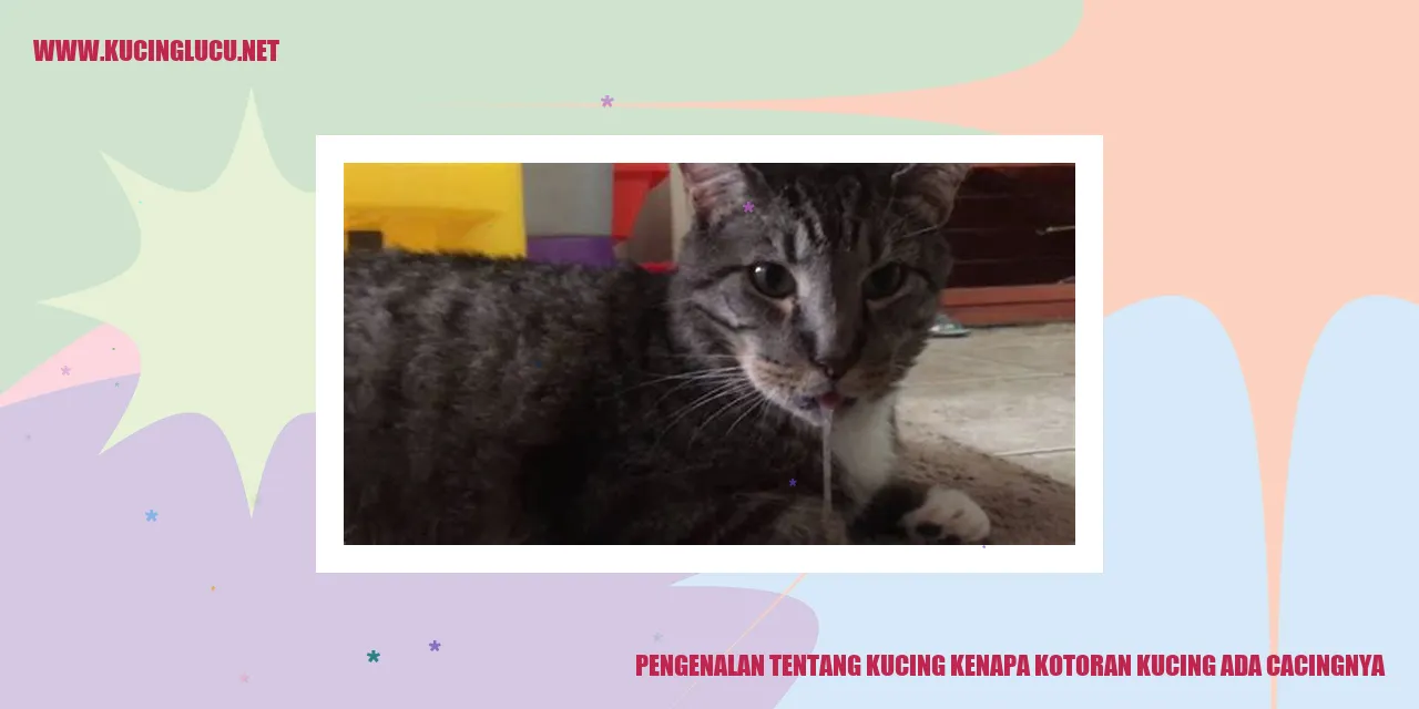 Gambar Kucing