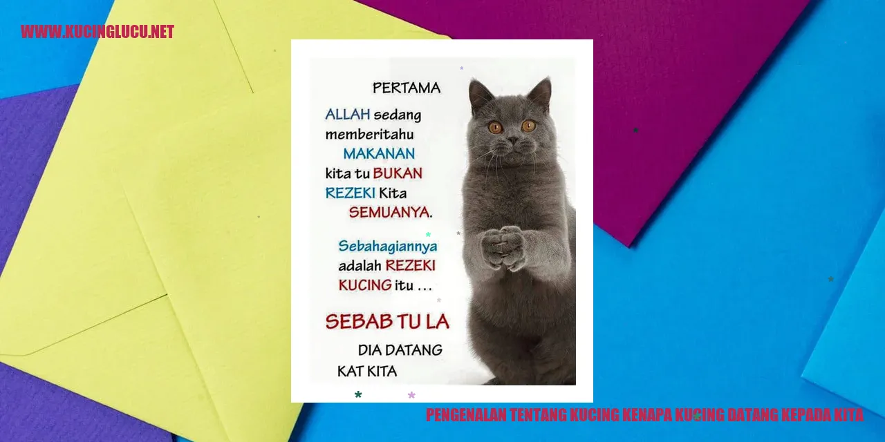 Potret Si Kucing