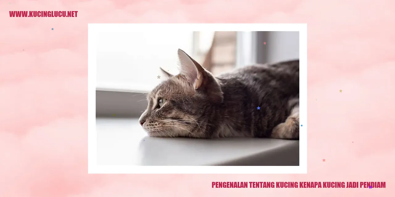 Kucing Pendiam