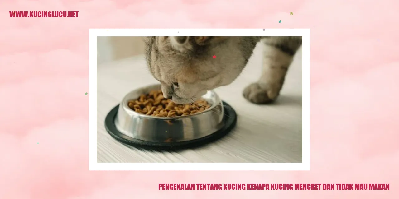 Gambar kucing yang menggemaskan