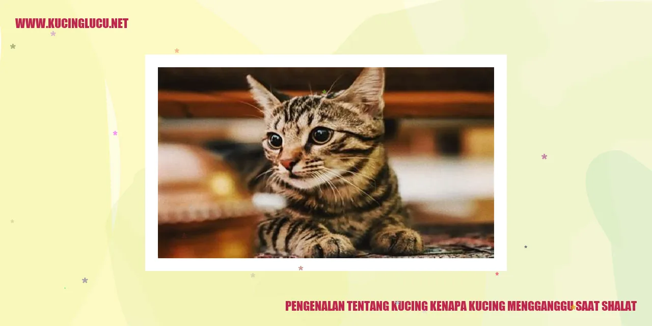 Ilustrasi Kucing