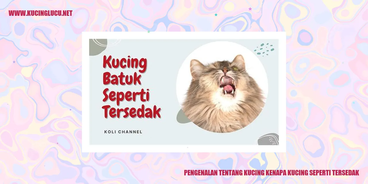 Pengenalan tentang Kucing kenapa kucing seperti tersedak