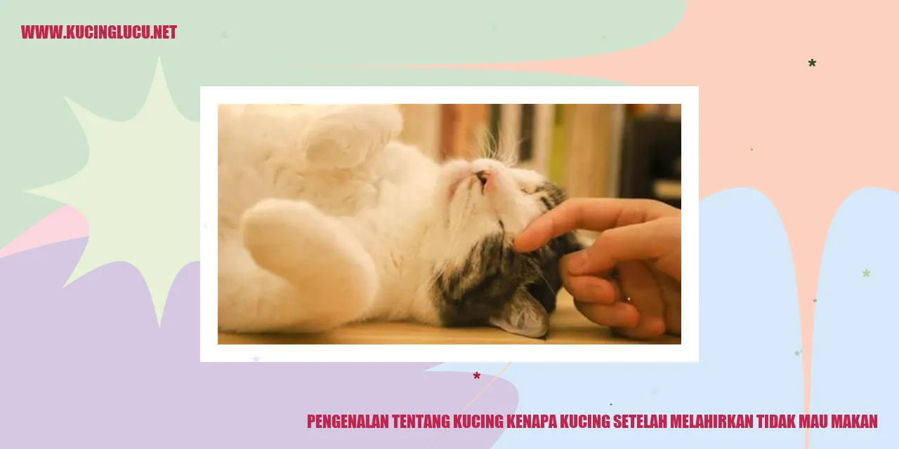 Gambar Kucing