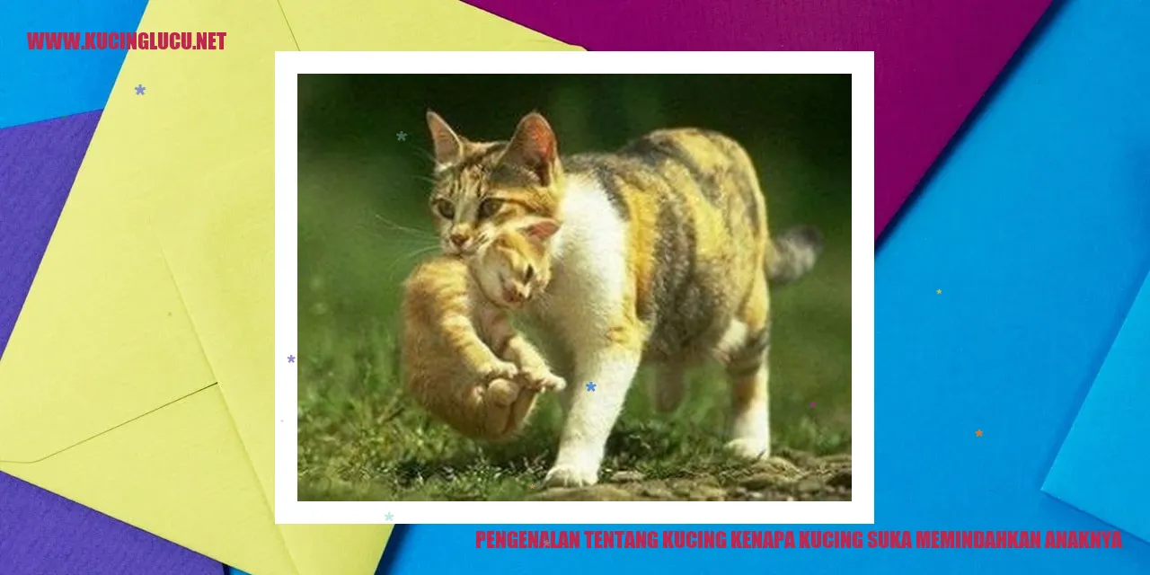 Gambar Kucing dengan Anaknya