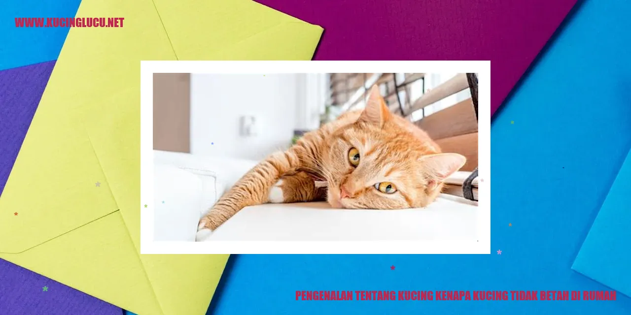 Gambar Kucing yang Merasa Tidak Nyaman di Rumah