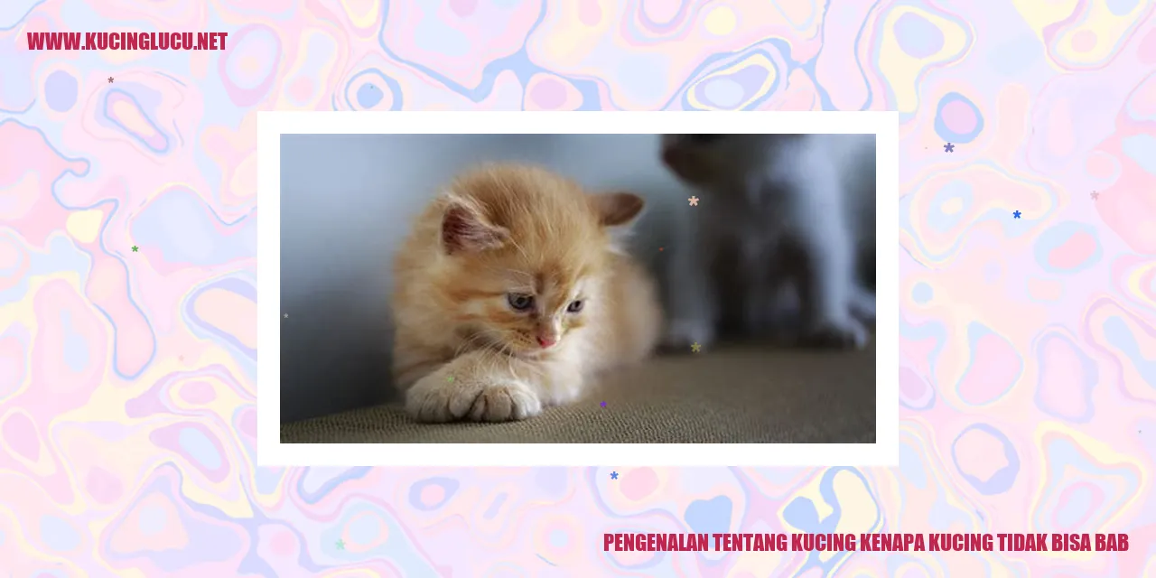Ilustrasi Kucing