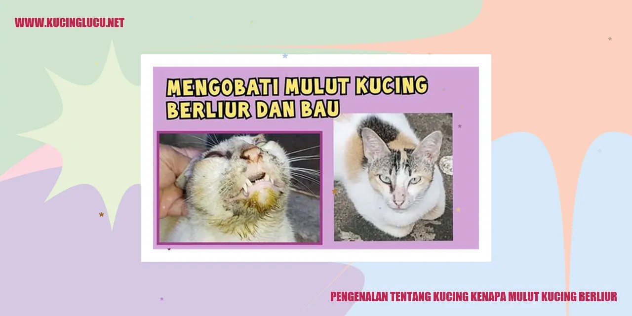 gambar kucing yang menggemaskan