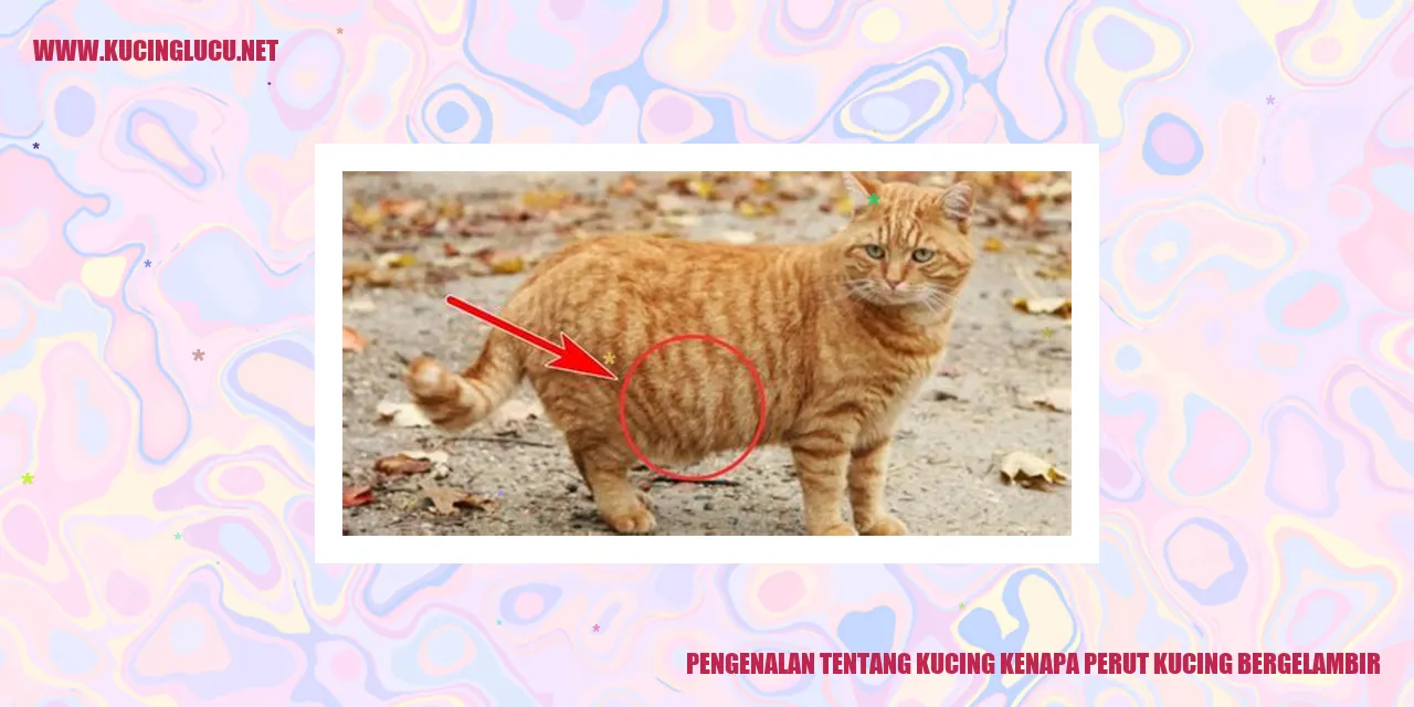 Kucing dengan perut melar