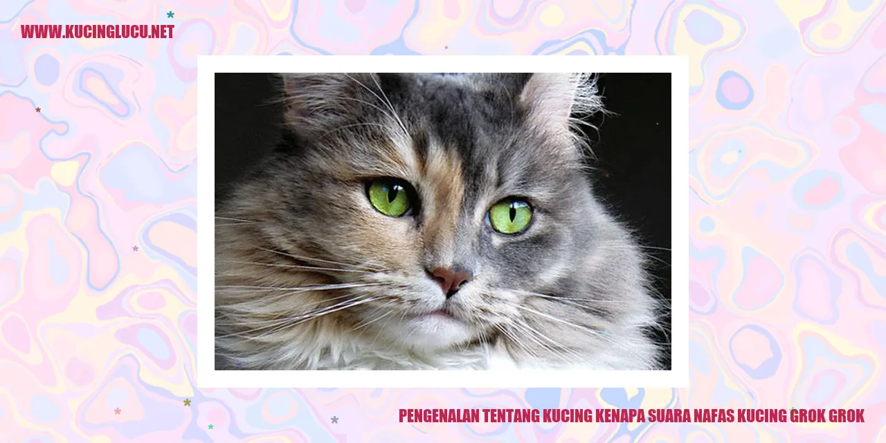 Gambar Kucing Menggemaskan