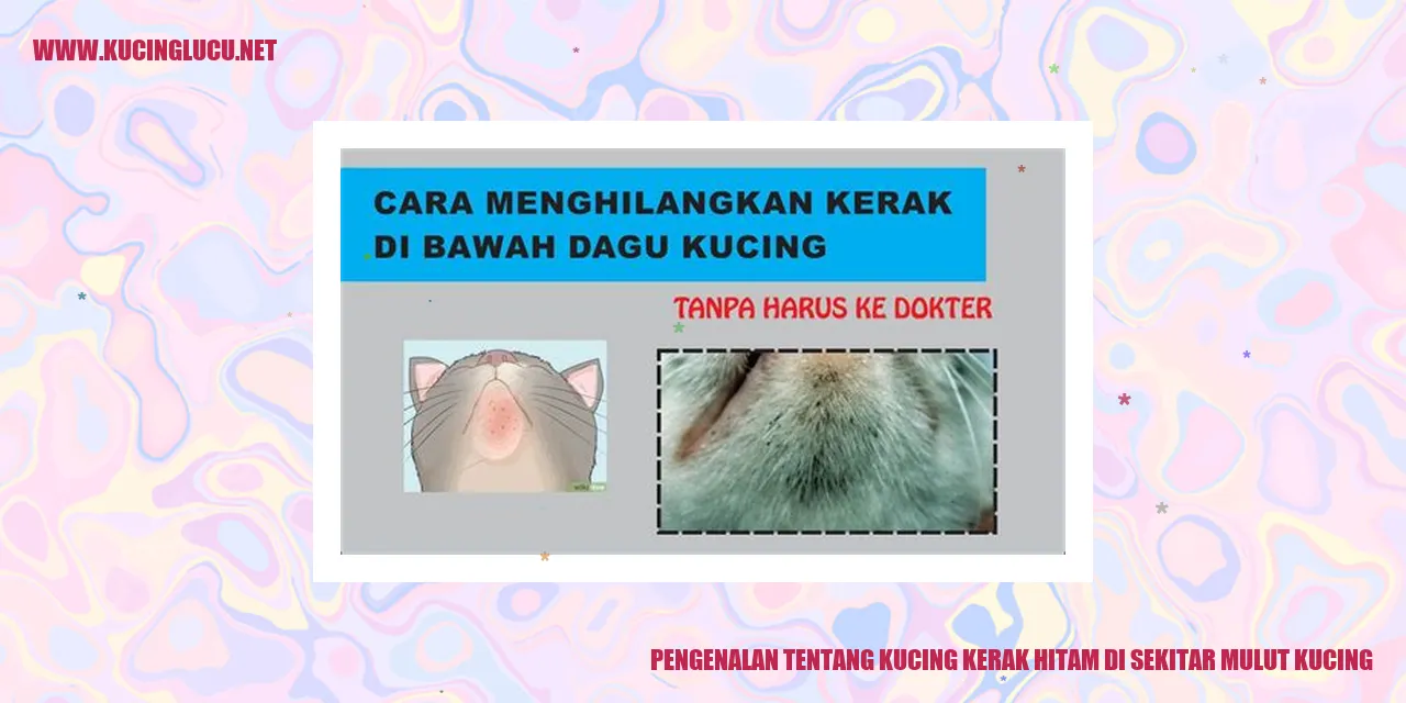 Foto kucing kerak hitam di sekitar mulutnya