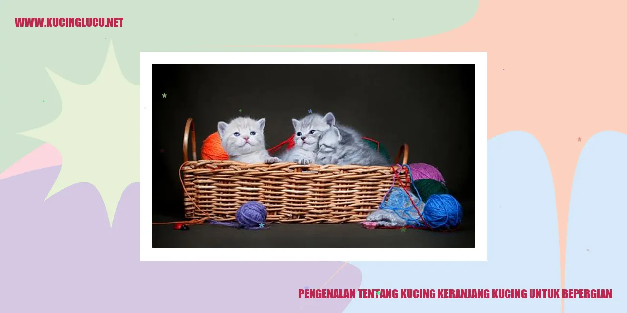 Kucing Keranjang Kucing untuk Bepergian