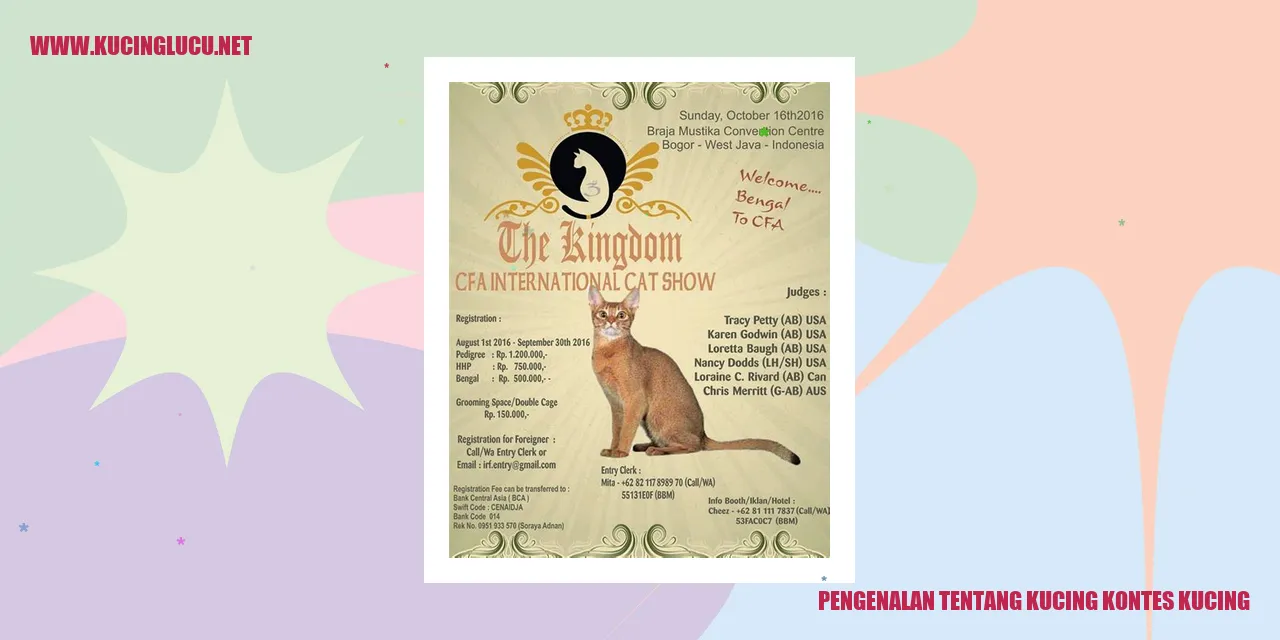 Kucing Kontes