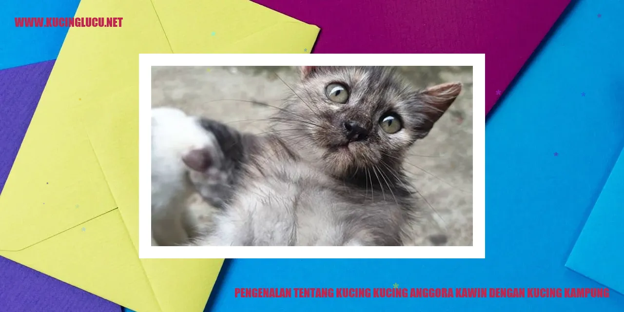 Gambar Kucing