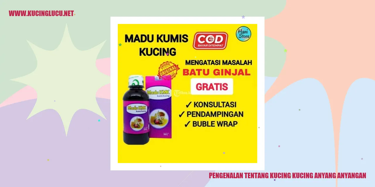 Kucing Anyang Anyangan