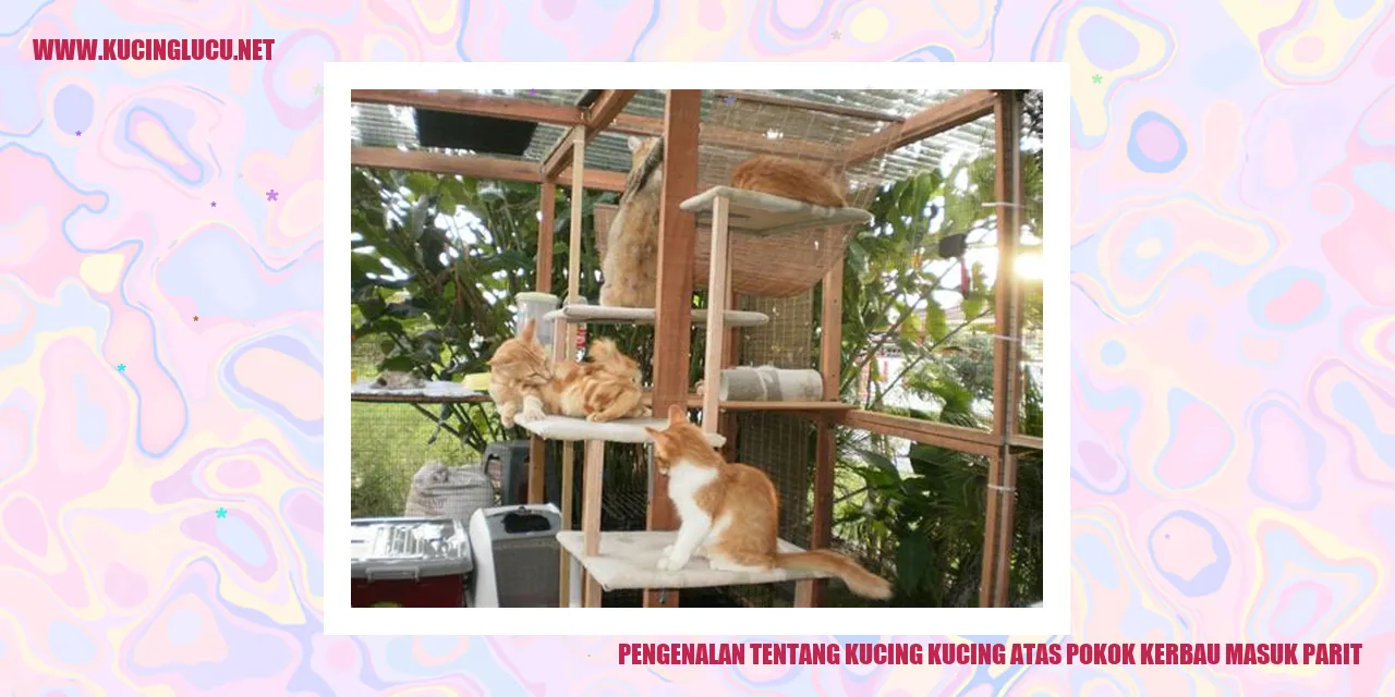 Kucing di parit