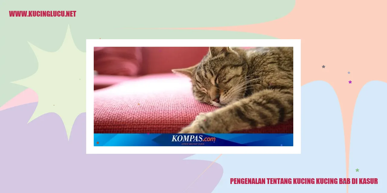 Gambar Kucing Kucing Bab di Kasur