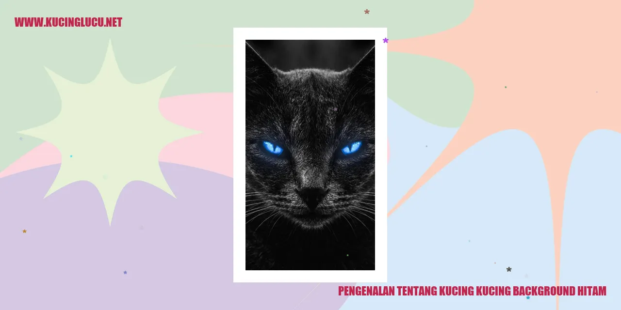 Gambar Kucing-kucing Background Hitam