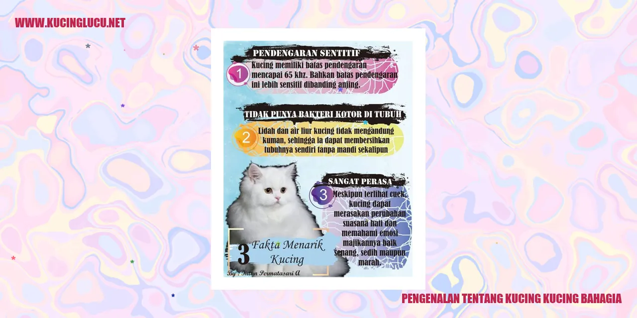 Gambar Kucing-kucing Bahagia