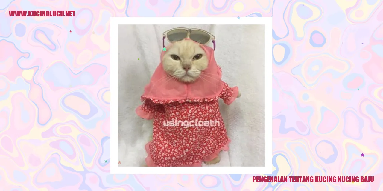 Gambar Si Kucing Berbaju