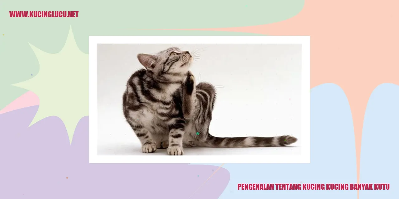 Seekor Kucing dengan Mengalami Kutu