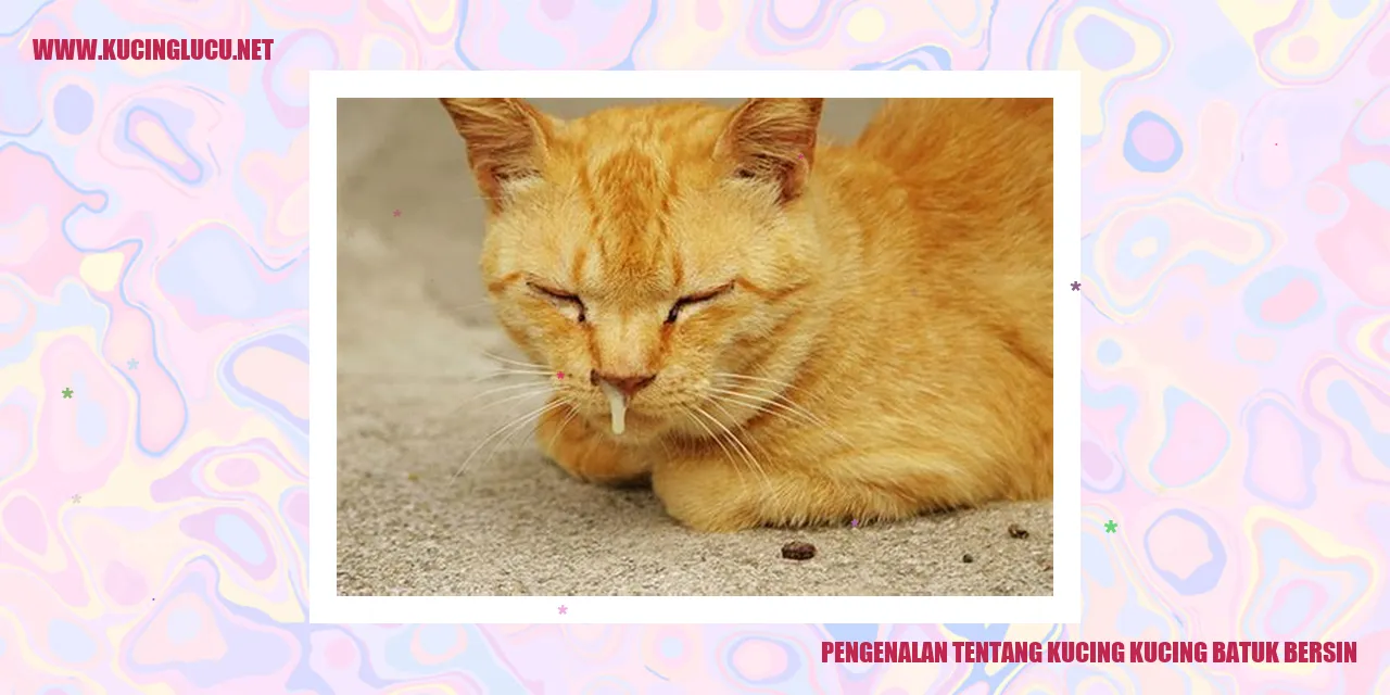 Gambar tentang Kucing kucing batuk bersin