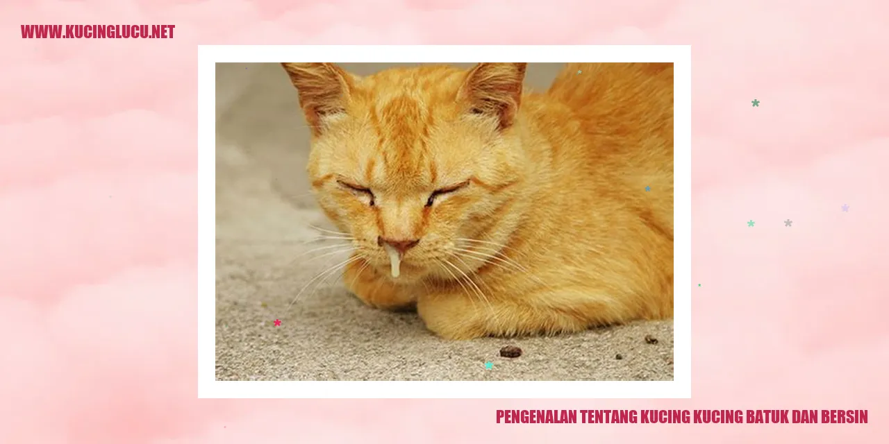 Gambar seekor kucing sedang bersin
