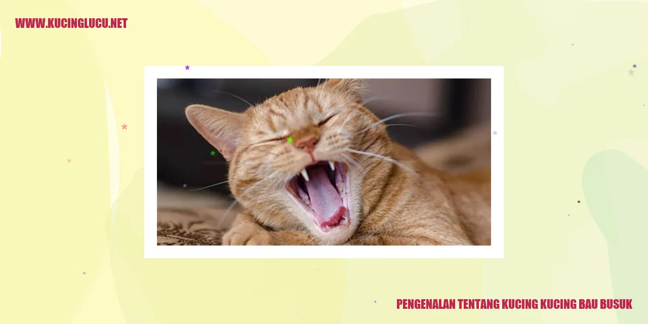 Kucing beraroma tak sedap