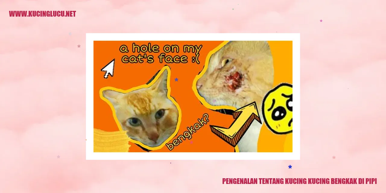 Kucing bengkak di pipi