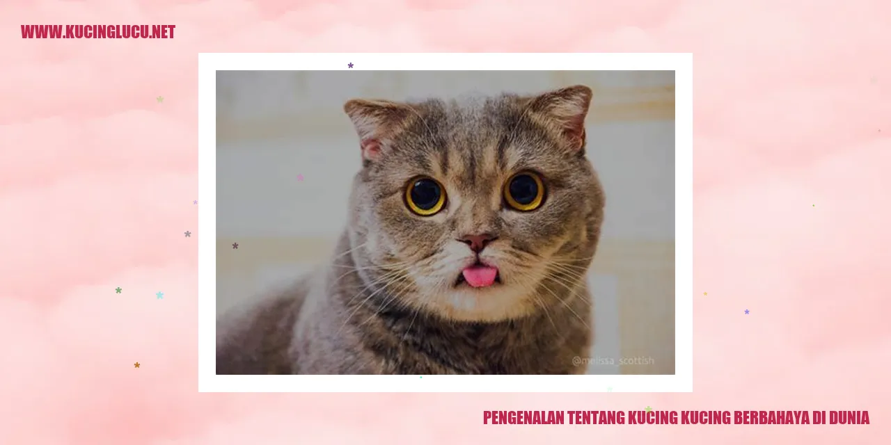 Gambar Kucing Berbahaya