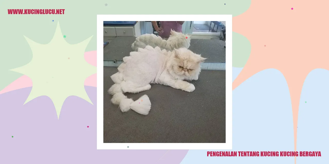 Foto Lucu Kucing Bergaya
