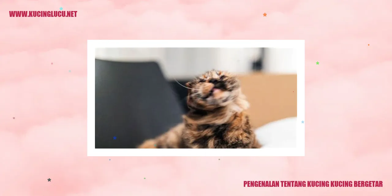 Ilustrasi Kucing Bergetar