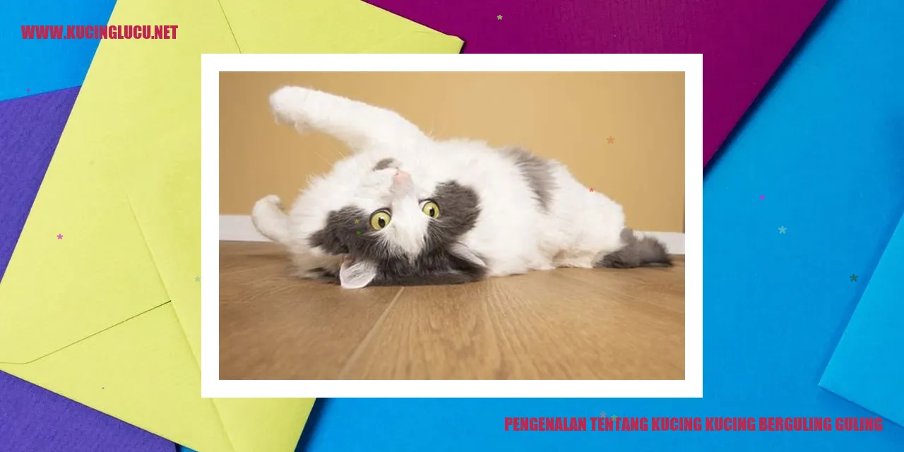 Kucing Berguling Guling