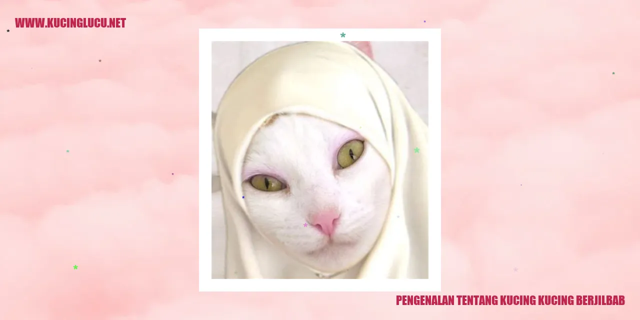 Gambar Kucing Kucing Berjilbab