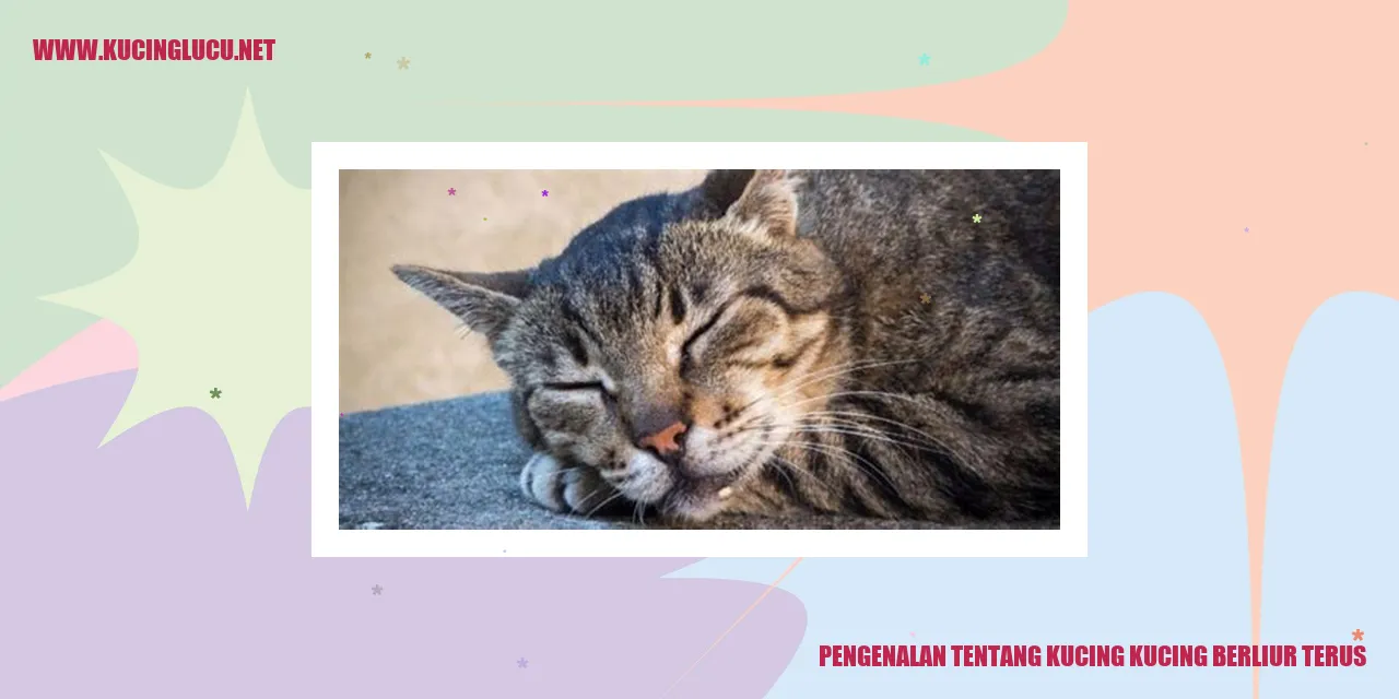 Gambar kucing yang selalu berliur