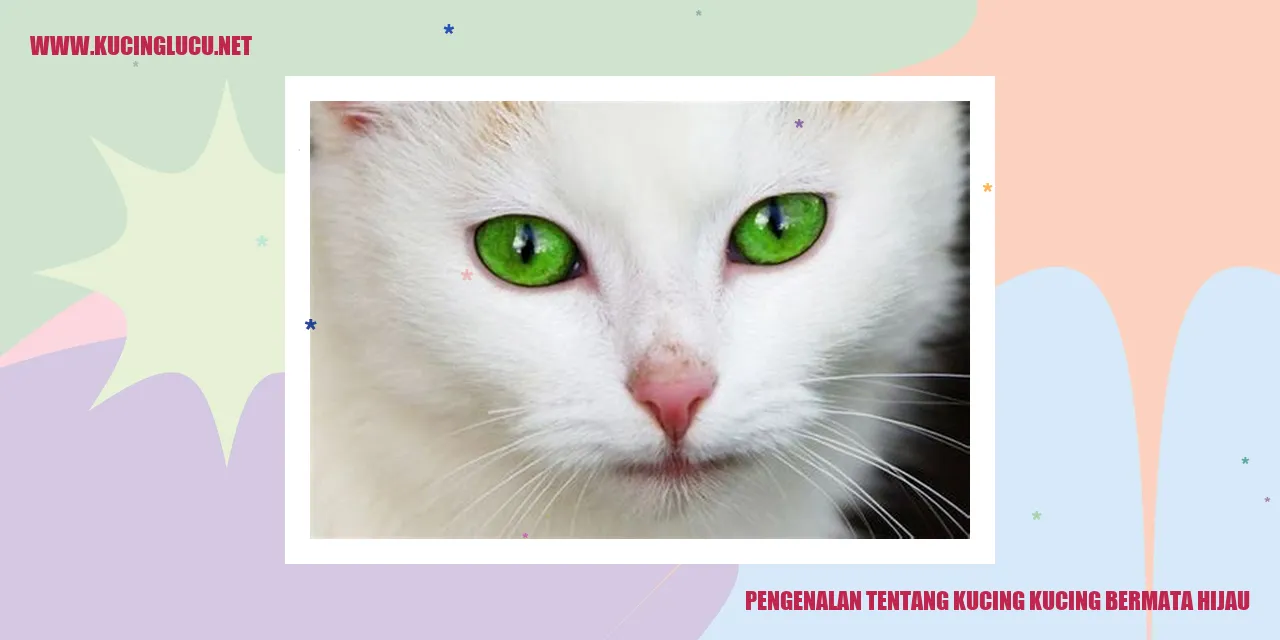 Kucing Bermata Hijau