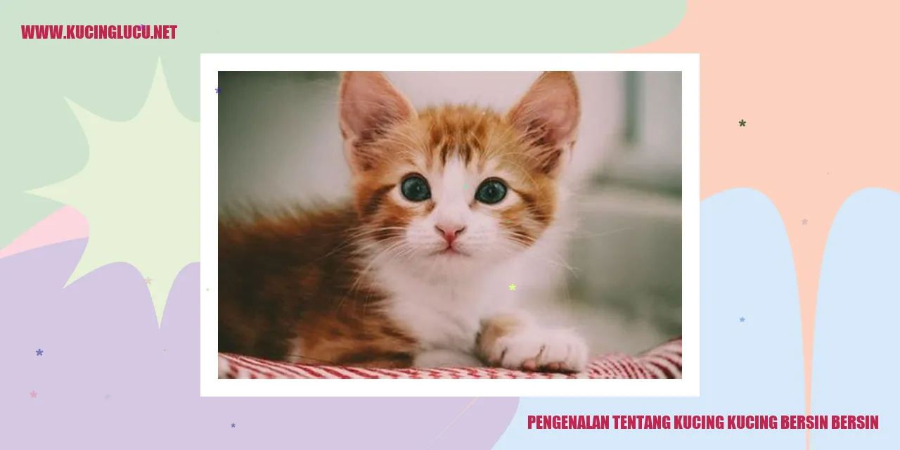 Gambar Kucing Kucing Bersin-Bersin