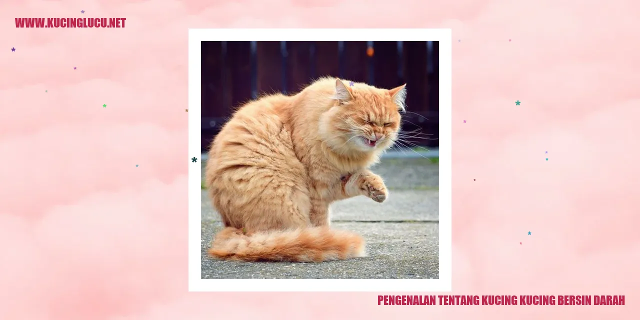 Ilustrasi Bersin Darah pada Kucing