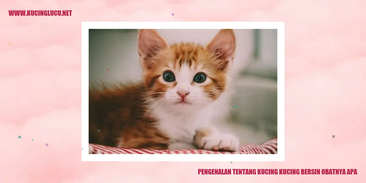 Kucing sedang bersin