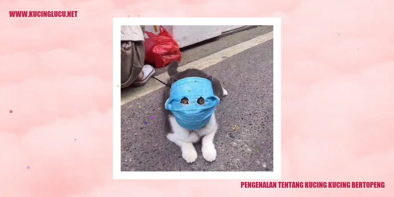 Kucing-kucing Bertopeng
