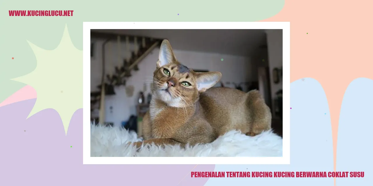 Kucing Berwarna Coklat Susu