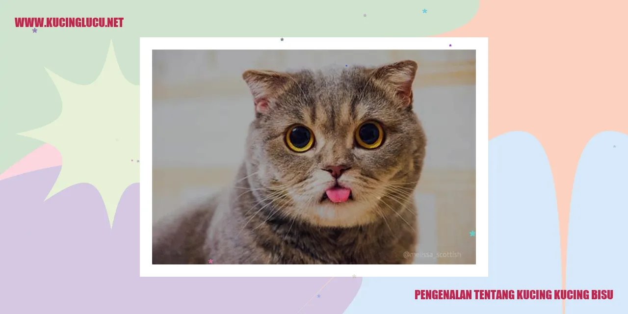 Kucing Bisu