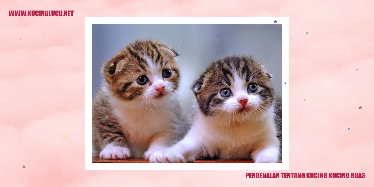 Kucing Buas yang Mengagumkan